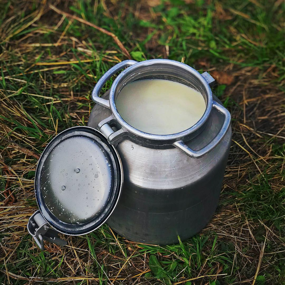 Денис — москвич, занимался творческими профессиями. Три года назад он кардинально изменил свою жизнь и стал фермером. Как ему живется в глубинке?