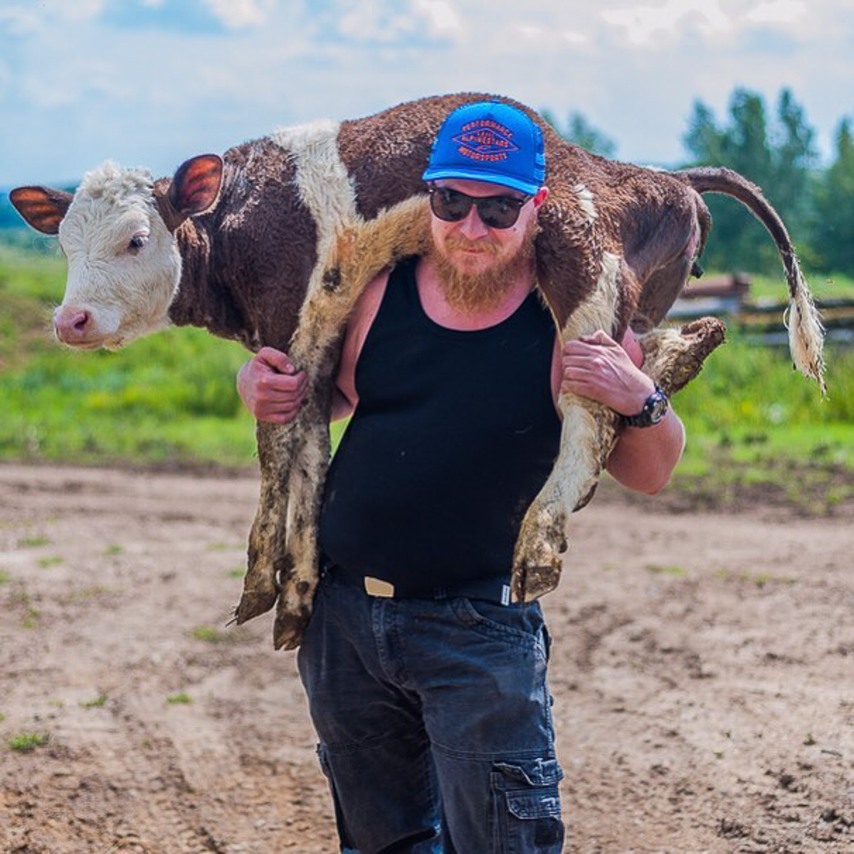 Денис — москвич, занимался творческими профессиями. Три года назад он кардинально изменил свою жизнь и стал фермером. Как ему живется в глубинке?