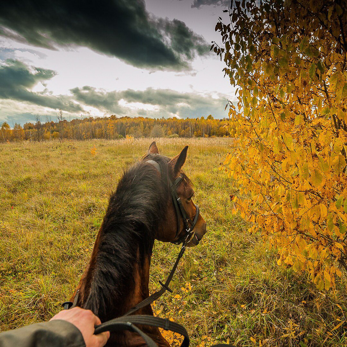 Денис — москвич, занимался творческими профессиями. Три года назад он кардинально изменил свою жизнь и стал фермером. Как ему живется в глубинке?