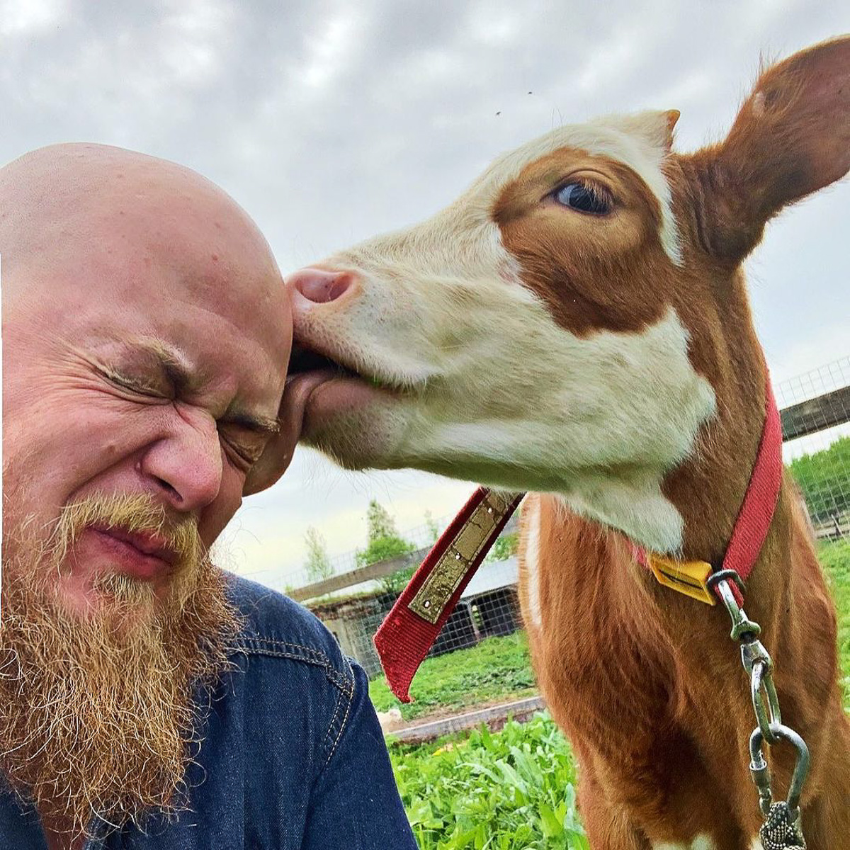 Денис — москвич, занимался творческими профессиями. Три года назад он кардинально изменил свою жизнь и стал фермером. Как ему живется в глубинке?