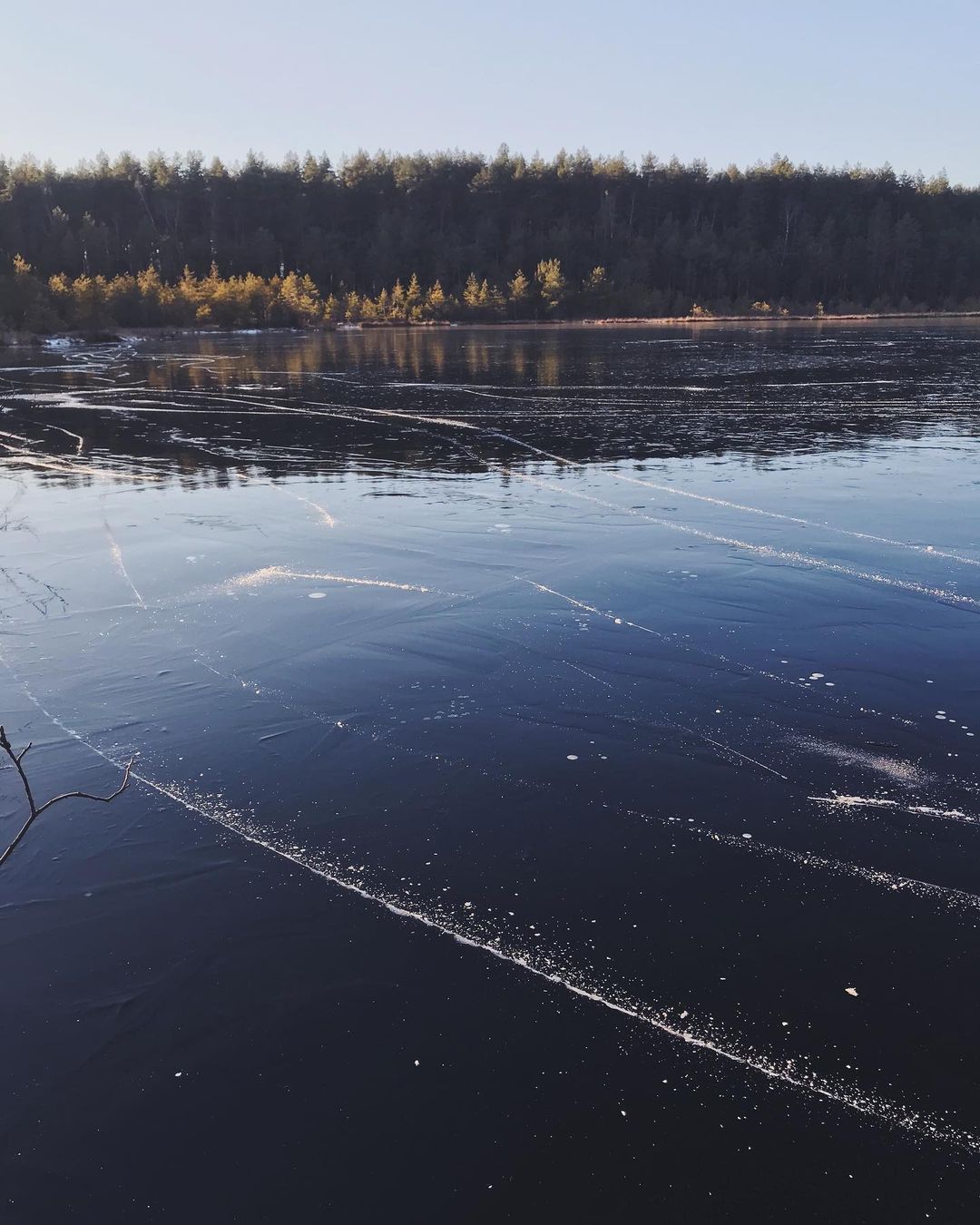 Учимся выбирать природный лед, безопасно кататься и восхищаться красотой леса вместе с горожанами!