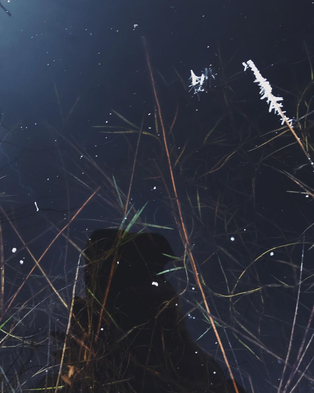 Учимся выбирать природный лед, безопасно кататься и восхищаться красотой леса вместе с горожанами!