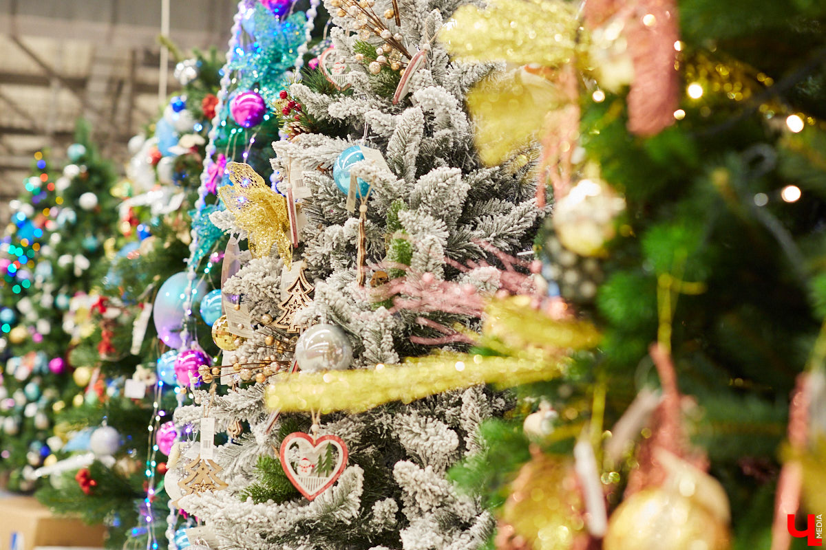 Владимирский Дед Мороз Егор Корсаков узнал рецепт прованских овощей, не грозящий возвратом сброшенных килограммов.