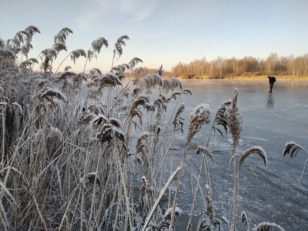 Пока снега мало и на лыжи не встать, в почете катки и хоккейные корты. Где во Владимире можно покататься на коньках? 