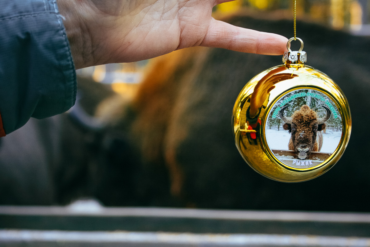 По восточному календарю 2021-й - год белого металлического быка. Где бы разыскать тотем для задабривания? У нас на примете 5 вариантов!