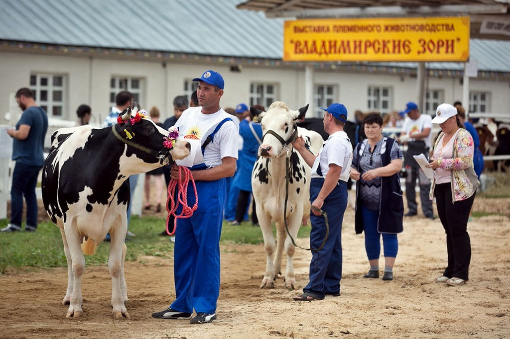 По восточному календарю 2021-й - год белого металлического быка. Где бы разыскать тотем для задабривания? У нас на примете 5 вариантов!