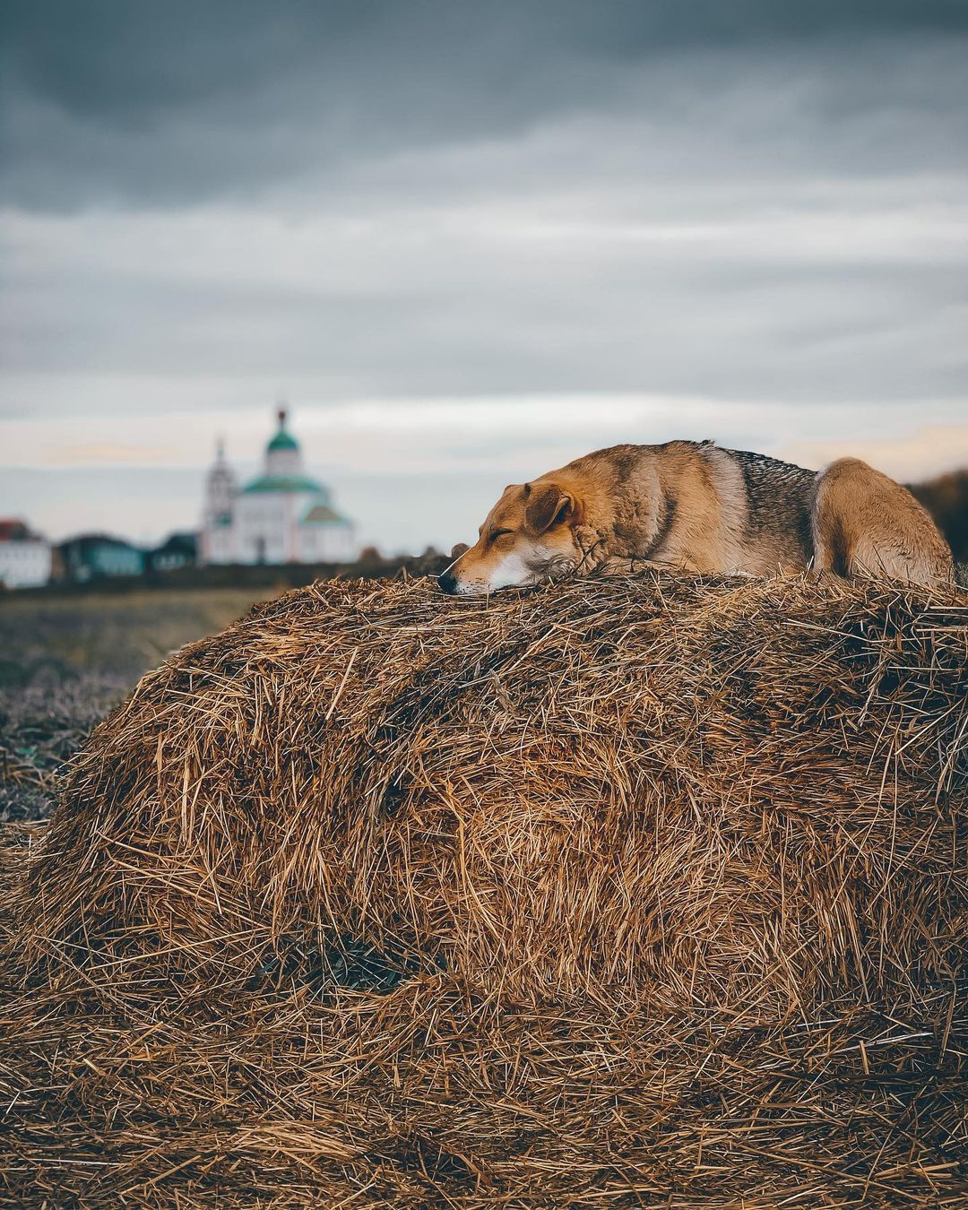 Заброшенные храмы, невероятной красоты здания и города. Знакомимся с Владимирской областью, какой ее видят известные тревел-блогеры.