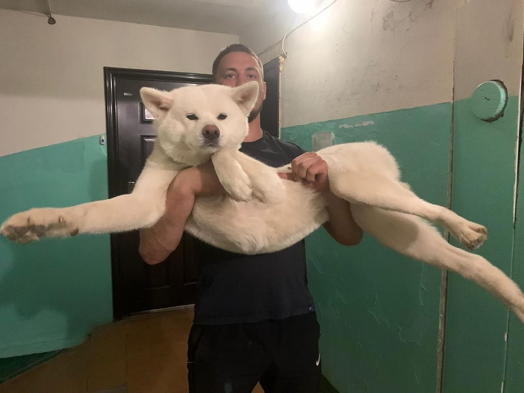 Сергей Бобрышев - восходящая звезда ММА. Эксперты назвали его новым Конором Макгрегором. Мы пообщались со спортсменом о его карьере.