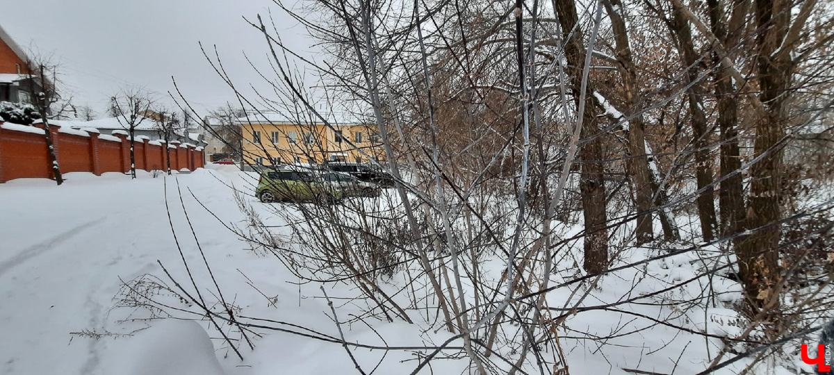 Арбузы для царя, или История легендарных владимирских огородников Муравкиных.