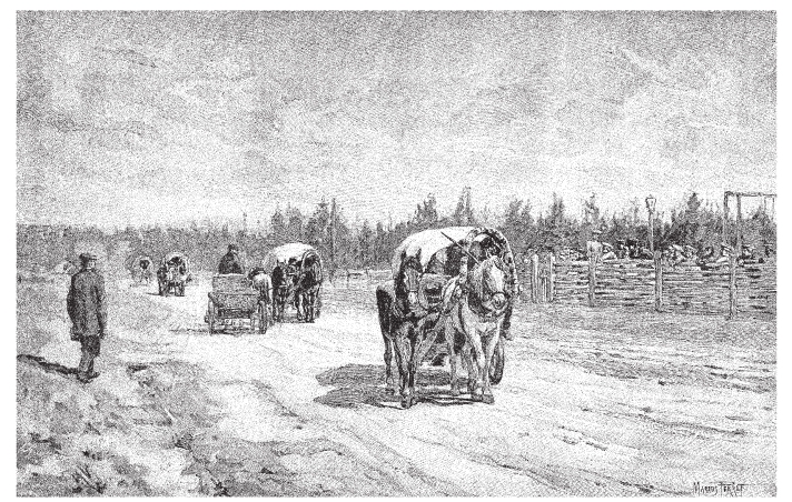 Арбузы для царя, или История легендарных владимирских огородников Муравкиных.