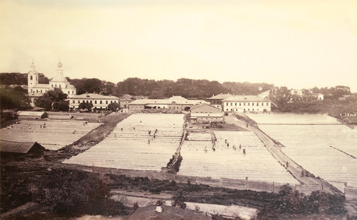 Арбузы для царя, или История легендарных владимирских огородников Муравкиных.