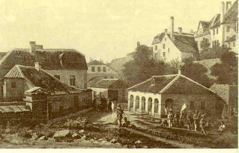 Арбузы для царя, или История легендарных владимирских огородников Муравкиных.