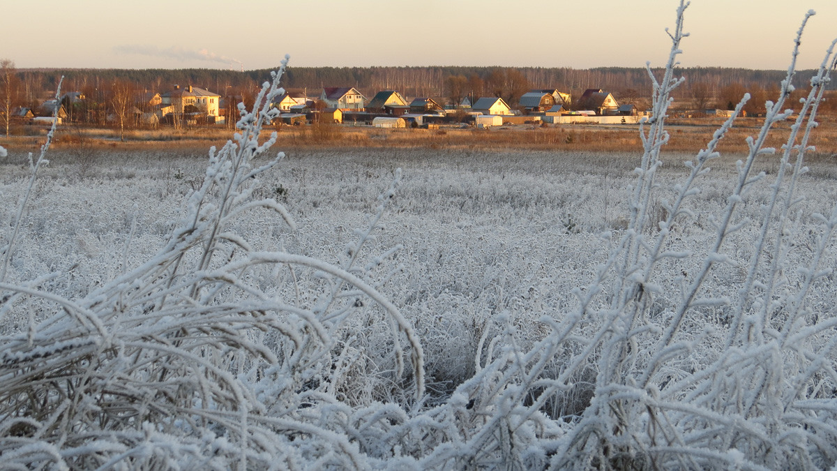 Новая развязка на М7 работает в полную силу. Но есть и другие важные дорожные события. 