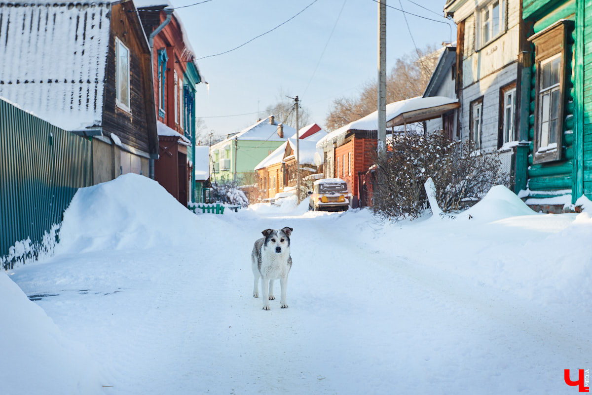 Почему в начале 20-го века Рабочая улица во Владимире называлась Щемиловкой? Кто и как жил на ней? На эти и другие вопросы мы нашли ответы, гуляя по городу с экскурсоводом Владимиров Новиковым.