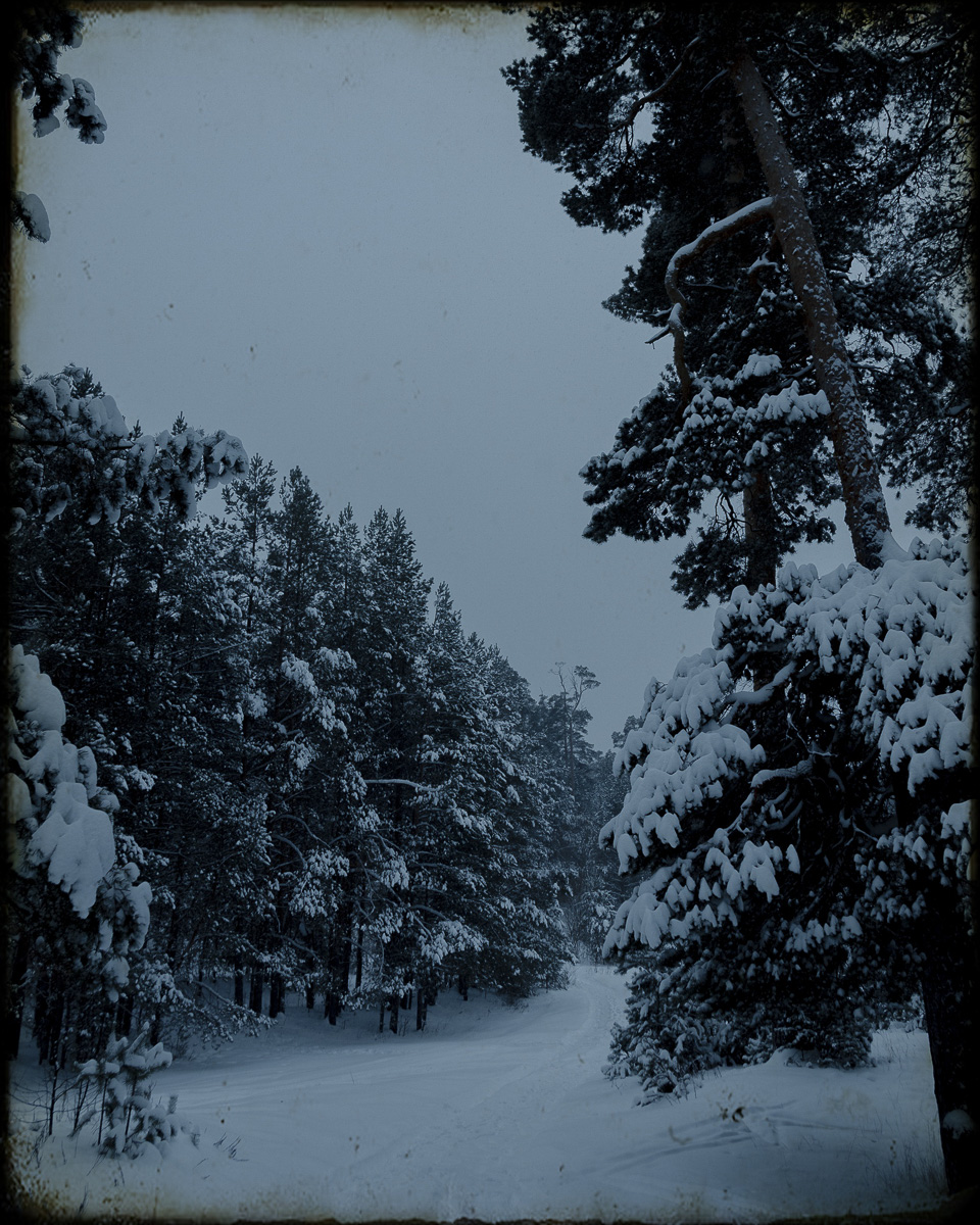 Желанию запечатлеть настоящую, русскую зиму, пришедшую к нам в январе 2021 года, не помешали ни сломанная нога, ни замерзшие пальцы, ни занесенные снегом тропинки. Такое упорство фотолюбителей привело к созданию настоящих шедевров, которыми мы спешим поделиться с вами.