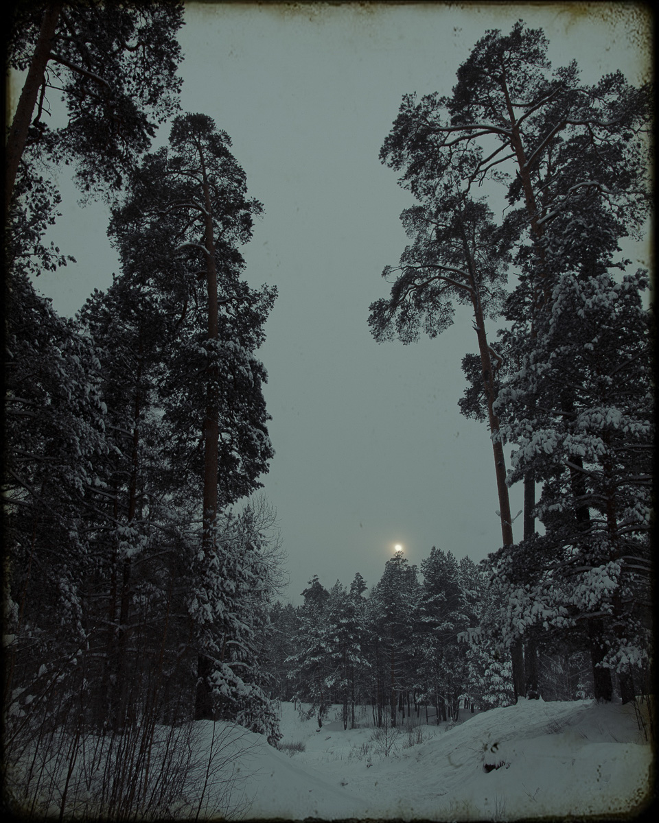 Желанию запечатлеть настоящую, русскую зиму, пришедшую к нам в январе 2021 года, не помешали ни сломанная нога, ни замерзшие пальцы, ни занесенные снегом тропинки. Такое упорство фотолюбителей привело к созданию настоящих шедевров, которыми мы спешим поделиться с вами.