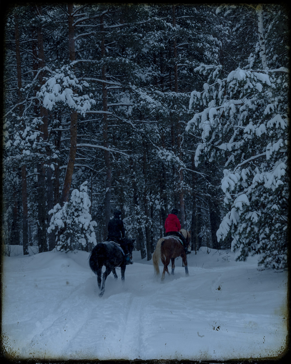 Желанию запечатлеть настоящую, русскую зиму, пришедшую к нам в январе 2021 года, не помешали ни сломанная нога, ни замерзшие пальцы, ни занесенные снегом тропинки. Такое упорство фотолюбителей привело к созданию настоящих шедевров, которыми мы спешим поделиться с вами.