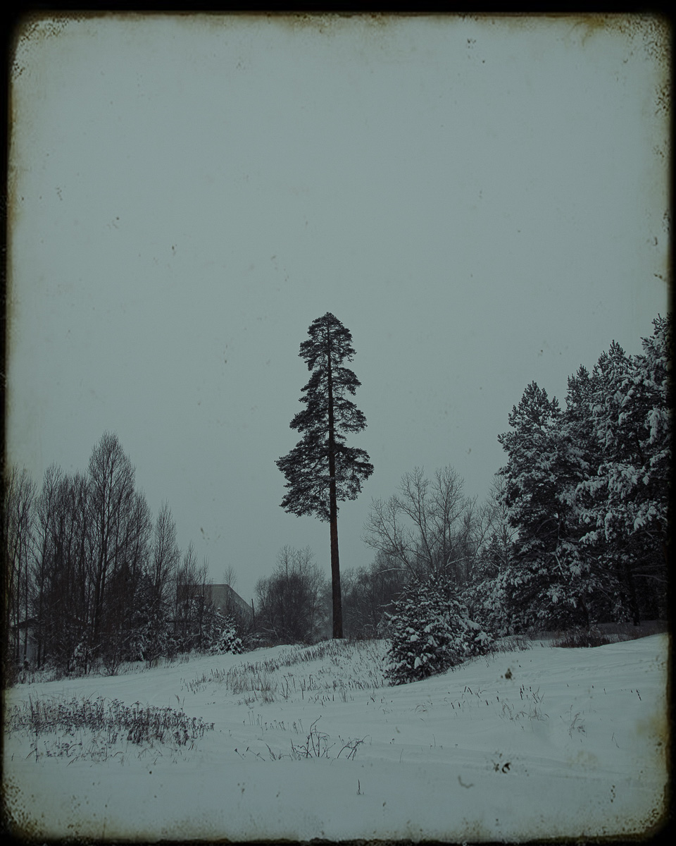 Желанию запечатлеть настоящую, русскую зиму, пришедшую к нам в январе 2021 года, не помешали ни сломанная нога, ни замерзшие пальцы, ни занесенные снегом тропинки. Такое упорство фотолюбителей привело к созданию настоящих шедевров, которыми мы спешим поделиться с вами.