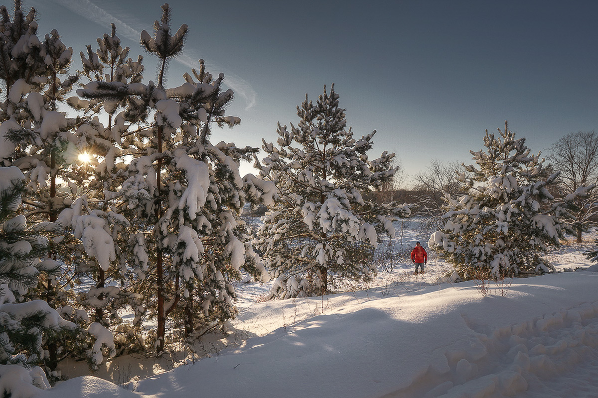 Желанию запечатлеть настоящую, русскую зиму, пришедшую к нам в январе 2021 года, не помешали ни сломанная нога, ни замерзшие пальцы, ни занесенные снегом тропинки. Такое упорство фотолюбителей привело к созданию настоящих шедевров, которыми мы спешим поделиться с вами.