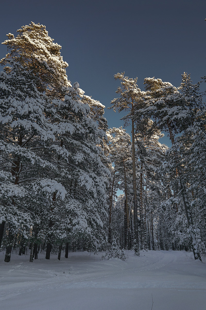 Желанию запечатлеть настоящую, русскую зиму, пришедшую к нам в январе 2021 года, не помешали ни сломанная нога, ни замерзшие пальцы, ни занесенные снегом тропинки. Такое упорство фотолюбителей привело к созданию настоящих шедевров, которыми мы спешим поделиться с вами.