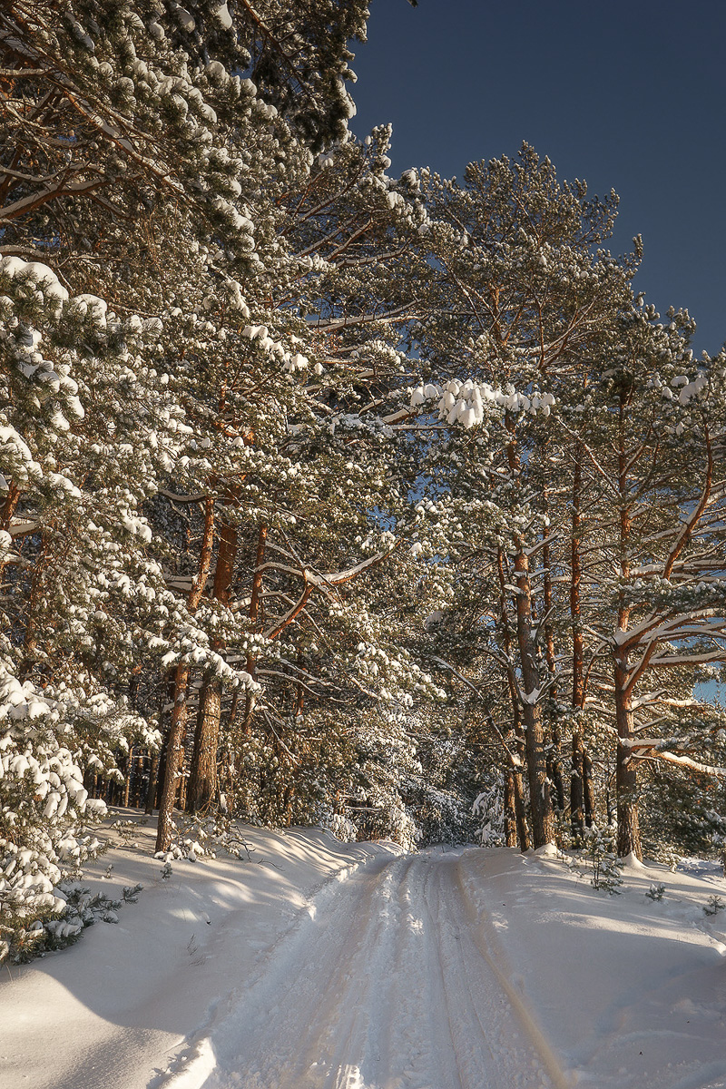Желанию запечатлеть настоящую, русскую зиму, пришедшую к нам в январе 2021 года, не помешали ни сломанная нога, ни замерзшие пальцы, ни занесенные снегом тропинки. Такое упорство фотолюбителей привело к созданию настоящих шедевров, которыми мы спешим поделиться с вами.