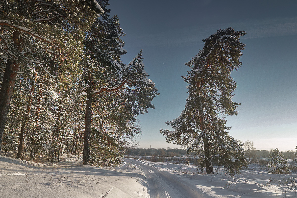 Желанию запечатлеть настоящую, русскую зиму, пришедшую к нам в январе 2021 года, не помешали ни сломанная нога, ни замерзшие пальцы, ни занесенные снегом тропинки. Такое упорство фотолюбителей привело к созданию настоящих шедевров, которыми мы спешим поделиться с вами.