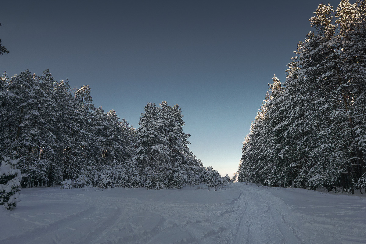 Желанию запечатлеть настоящую, русскую зиму, пришедшую к нам в январе 2021 года, не помешали ни сломанная нога, ни замерзшие пальцы, ни занесенные снегом тропинки. Такое упорство фотолюбителей привело к созданию настоящих шедевров, которыми мы спешим поделиться с вами.