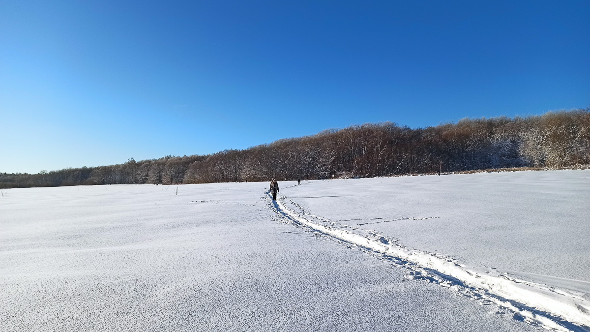 Желанию запечатлеть настоящую, русскую зиму, пришедшую к нам в январе 2021 года, не помешали ни сломанная нога, ни замерзшие пальцы, ни занесенные снегом тропинки. Такое упорство фотолюбителей привело к созданию настоящих шедевров, которыми мы спешим поделиться с вами.