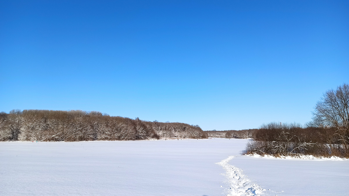 Желанию запечатлеть настоящую, русскую зиму, пришедшую к нам в январе 2021 года, не помешали ни сломанная нога, ни замерзшие пальцы, ни занесенные снегом тропинки. Такое упорство фотолюбителей привело к созданию настоящих шедевров, которыми мы спешим поделиться с вами.