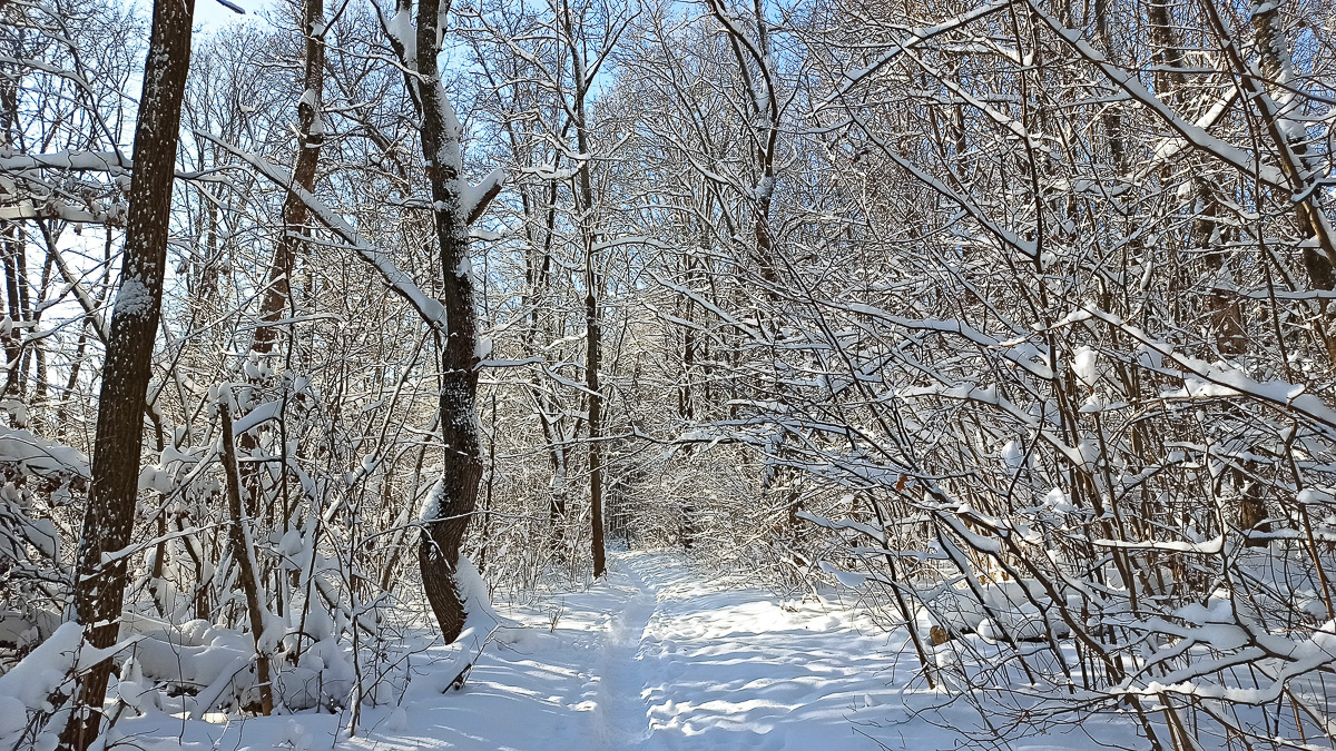 Желанию запечатлеть настоящую, русскую зиму, пришедшую к нам в январе 2021 года, не помешали ни сломанная нога, ни замерзшие пальцы, ни занесенные снегом тропинки. Такое упорство фотолюбителей привело к созданию настоящих шедевров, которыми мы спешим поделиться с вами.