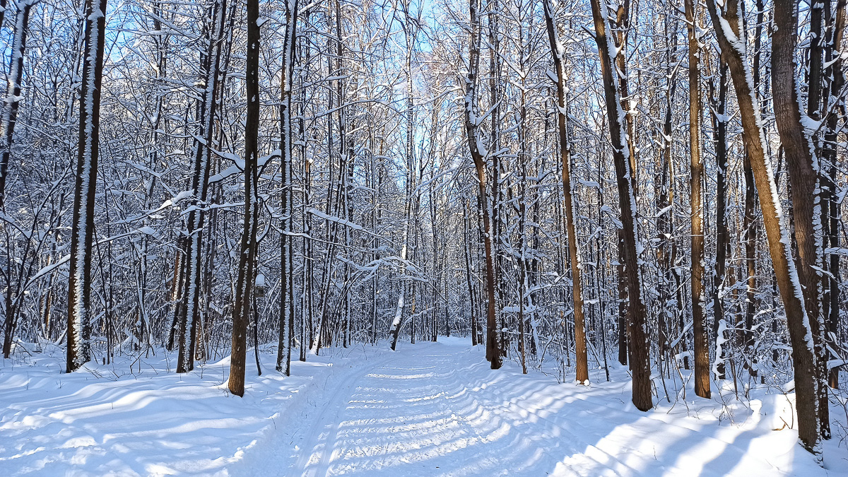 Желанию запечатлеть настоящую, русскую зиму, пришедшую к нам в январе 2021 года, не помешали ни сломанная нога, ни замерзшие пальцы, ни занесенные снегом тропинки. Такое упорство фотолюбителей привело к созданию настоящих шедевров, которыми мы спешим поделиться с вами.