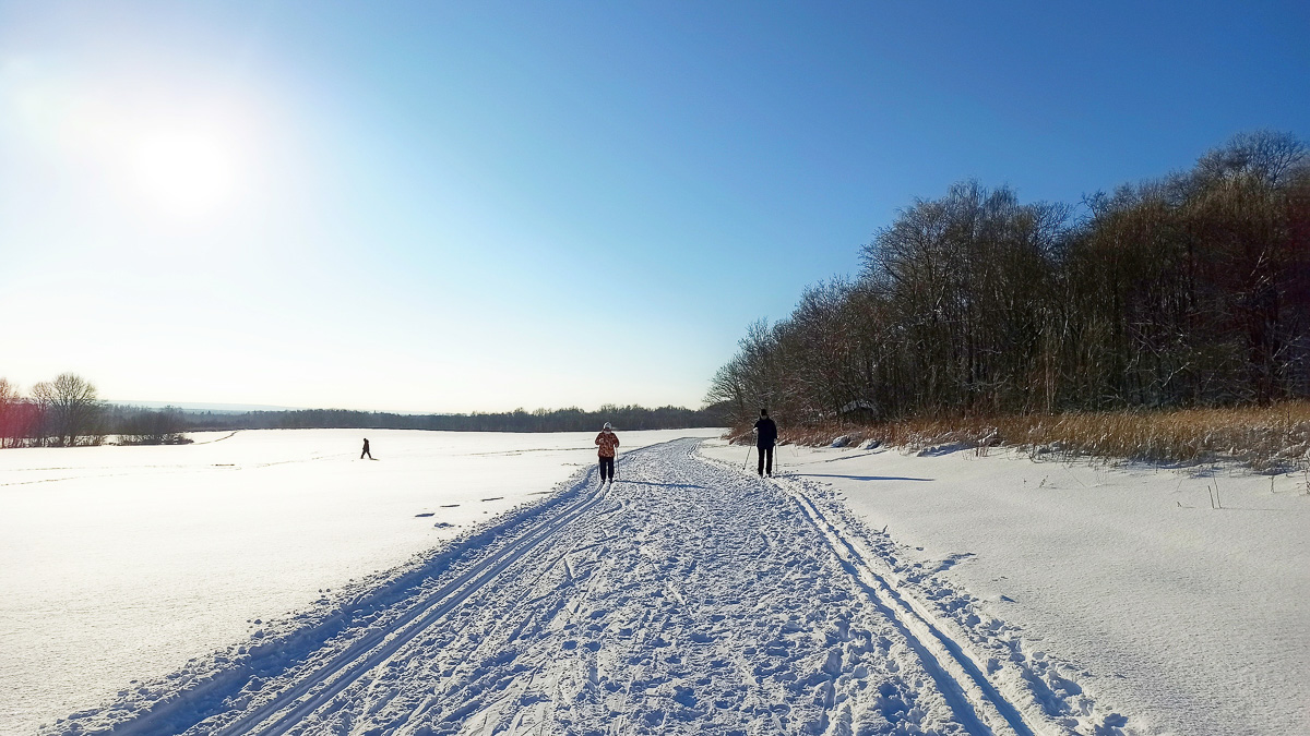 Желанию запечатлеть настоящую, русскую зиму, пришедшую к нам в январе 2021 года, не помешали ни сломанная нога, ни замерзшие пальцы, ни занесенные снегом тропинки. Такое упорство фотолюбителей привело к созданию настоящих шедевров, которыми мы спешим поделиться с вами.