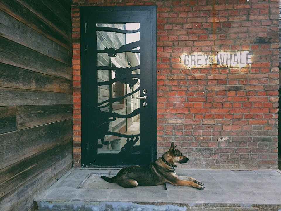 Grey Whale — не только репетиционная база во Владимире, но и творческое пространство с концертами и выставками. Таковым его сделали друзья-основатели Андрей Серан и Антон Китаев.
