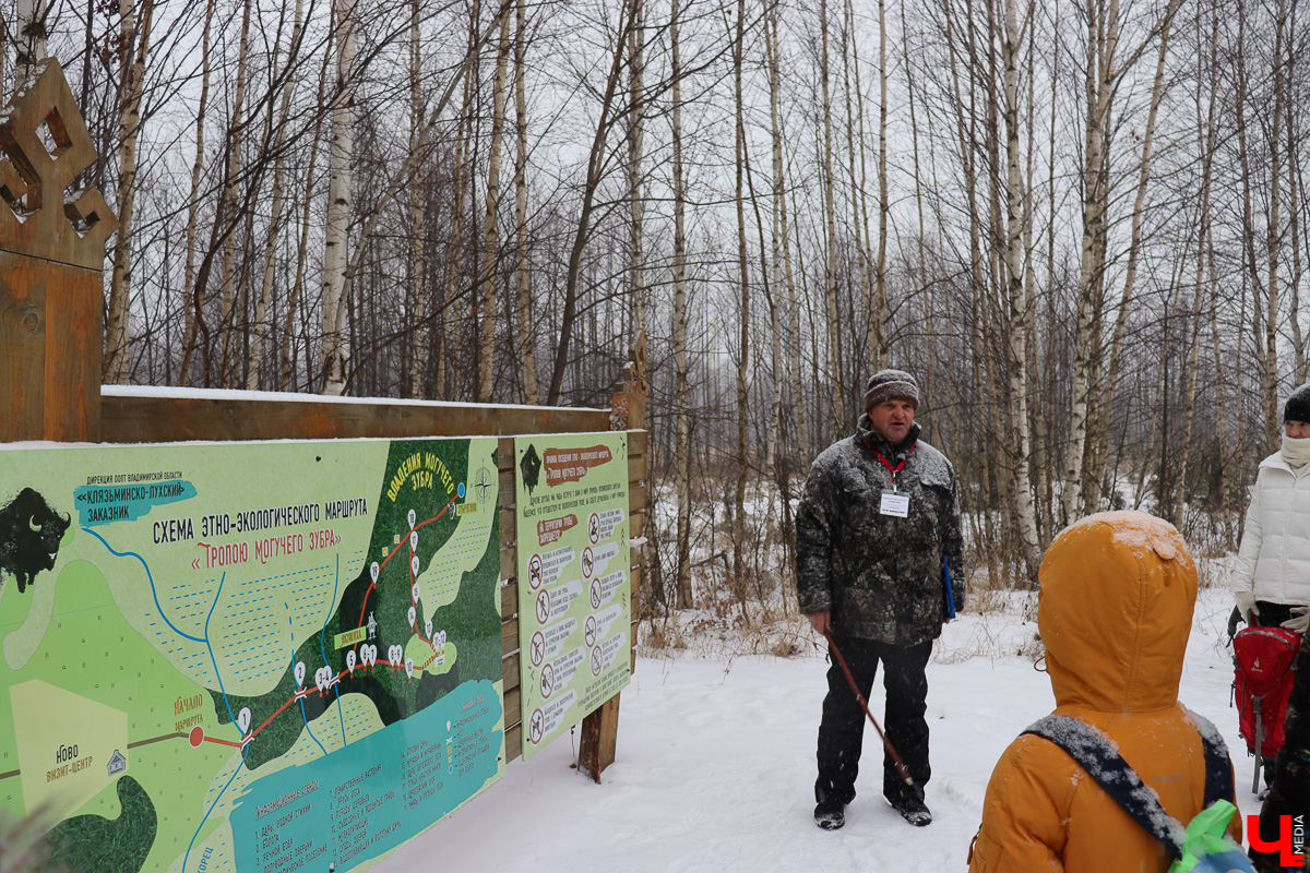 Вязниковский Турцентр устроил экскурсию к зубрам в Клязьминско-Лухском заказнике.