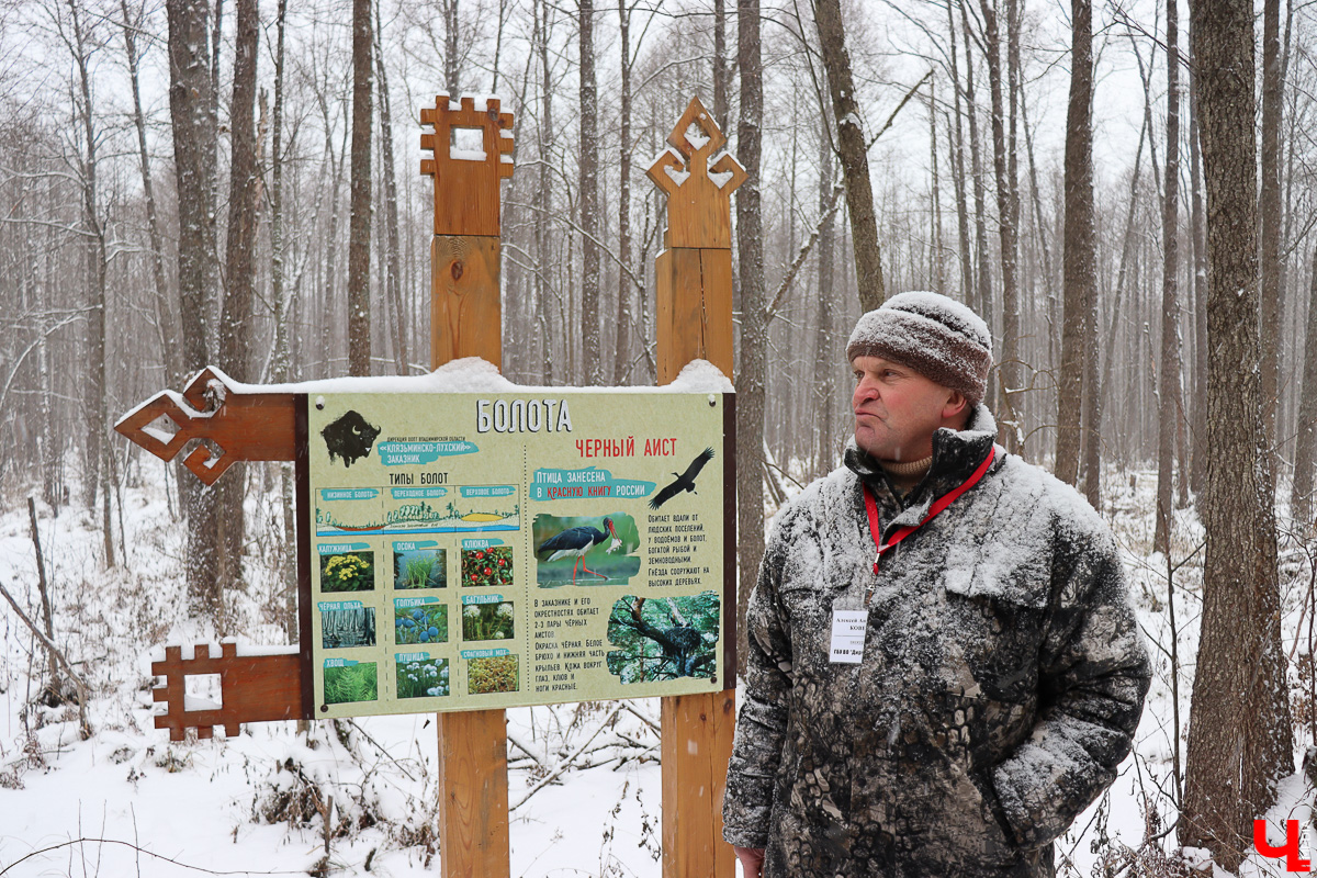 Вязниковский Турцентр устроил экскурсию к зубрам в Клязьминско-Лухском заказнике.