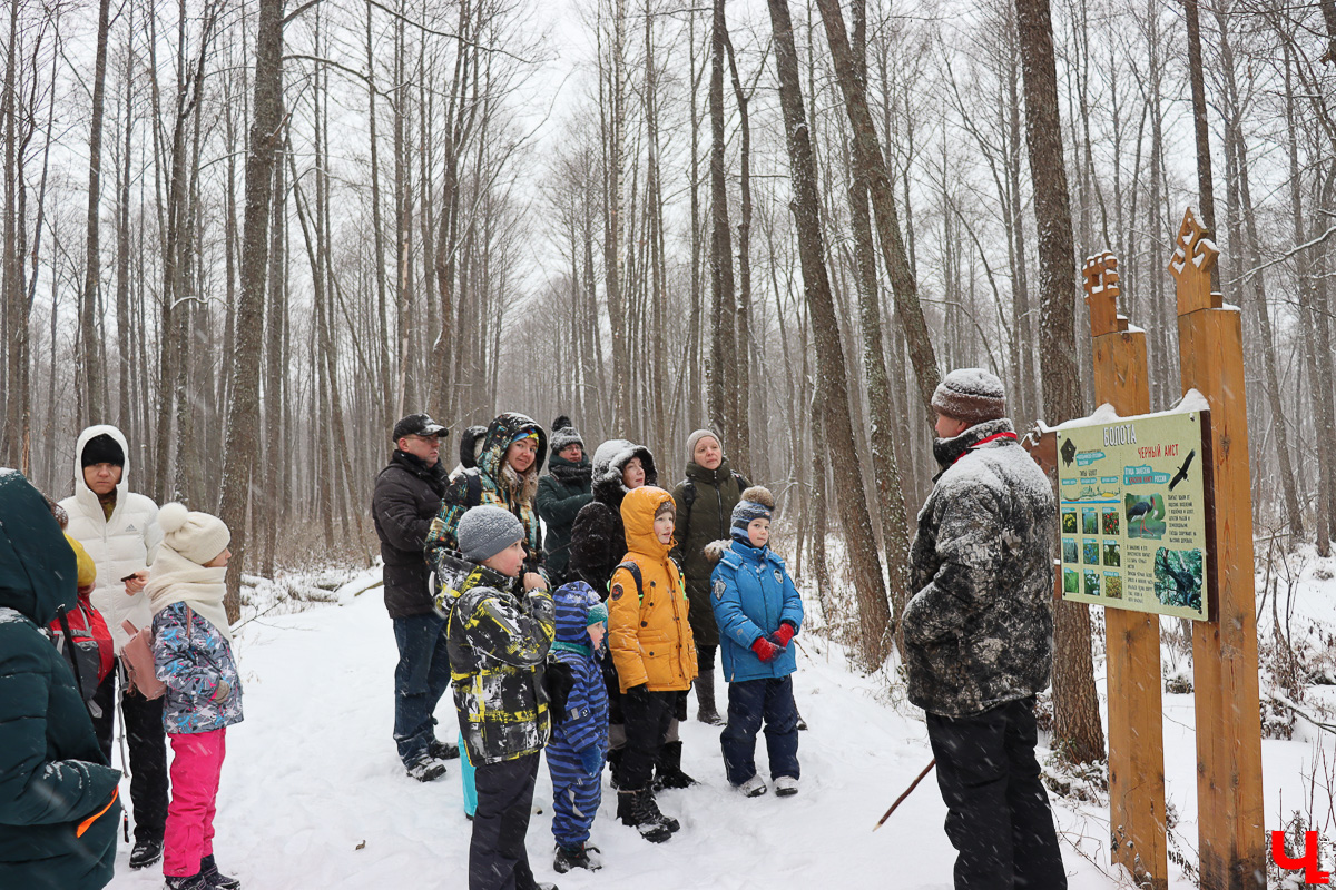 Вязниковский Турцентр устроил экскурсию к зубрам в Клязьминско-Лухском заказнике.