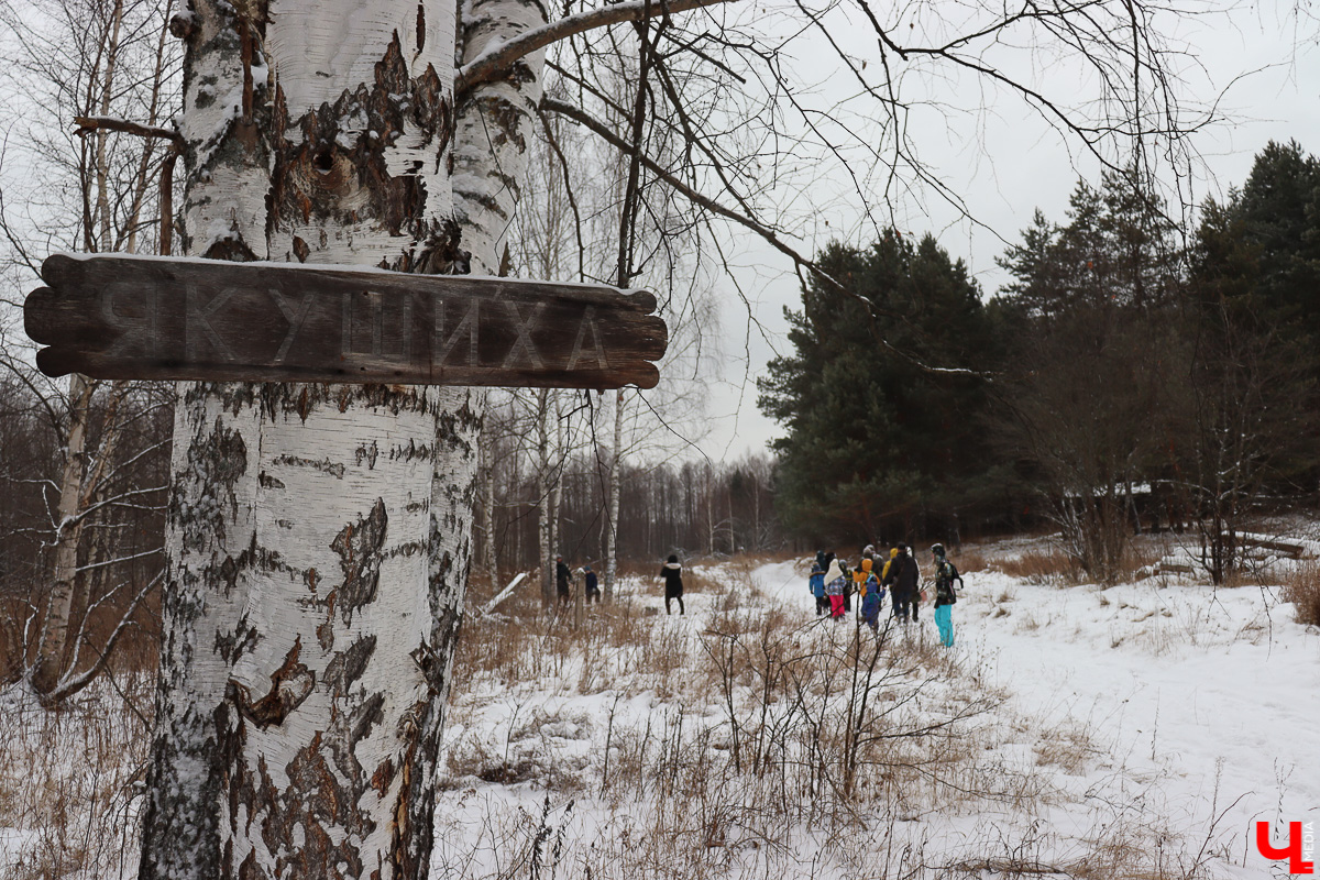 Вязниковский Турцентр устроил экскурсию к зубрам в Клязьминско-Лухском заказнике.