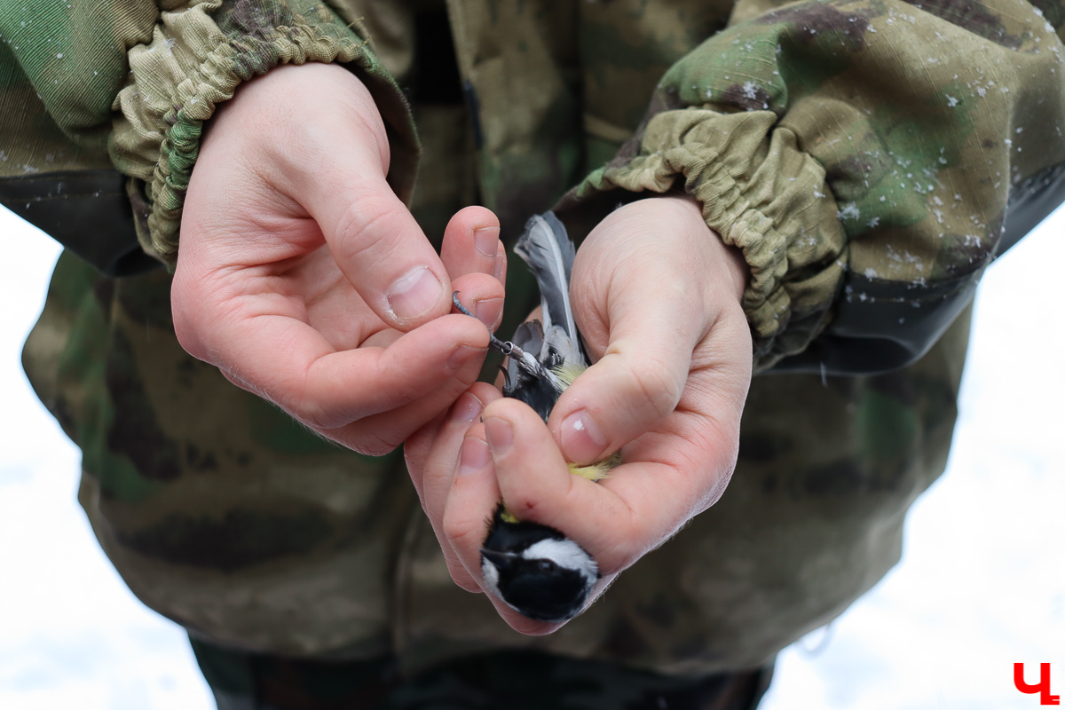 Вязниковский Турцентр устроил экскурсию к зубрам в Клязьминско-Лухском заказнике.