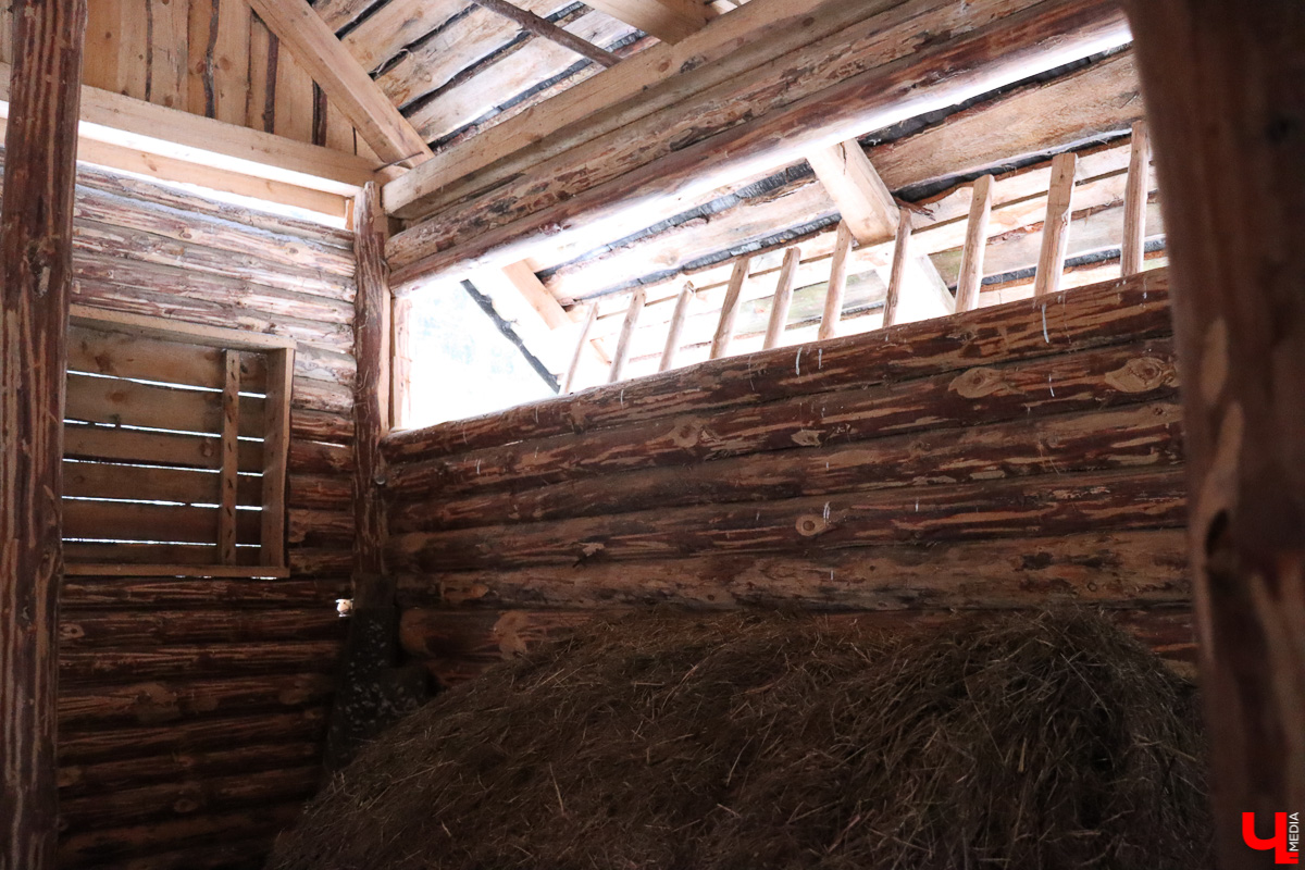 Вязниковский Турцентр устроил экскурсию к зубрам в Клязьминско-Лухском заказнике.