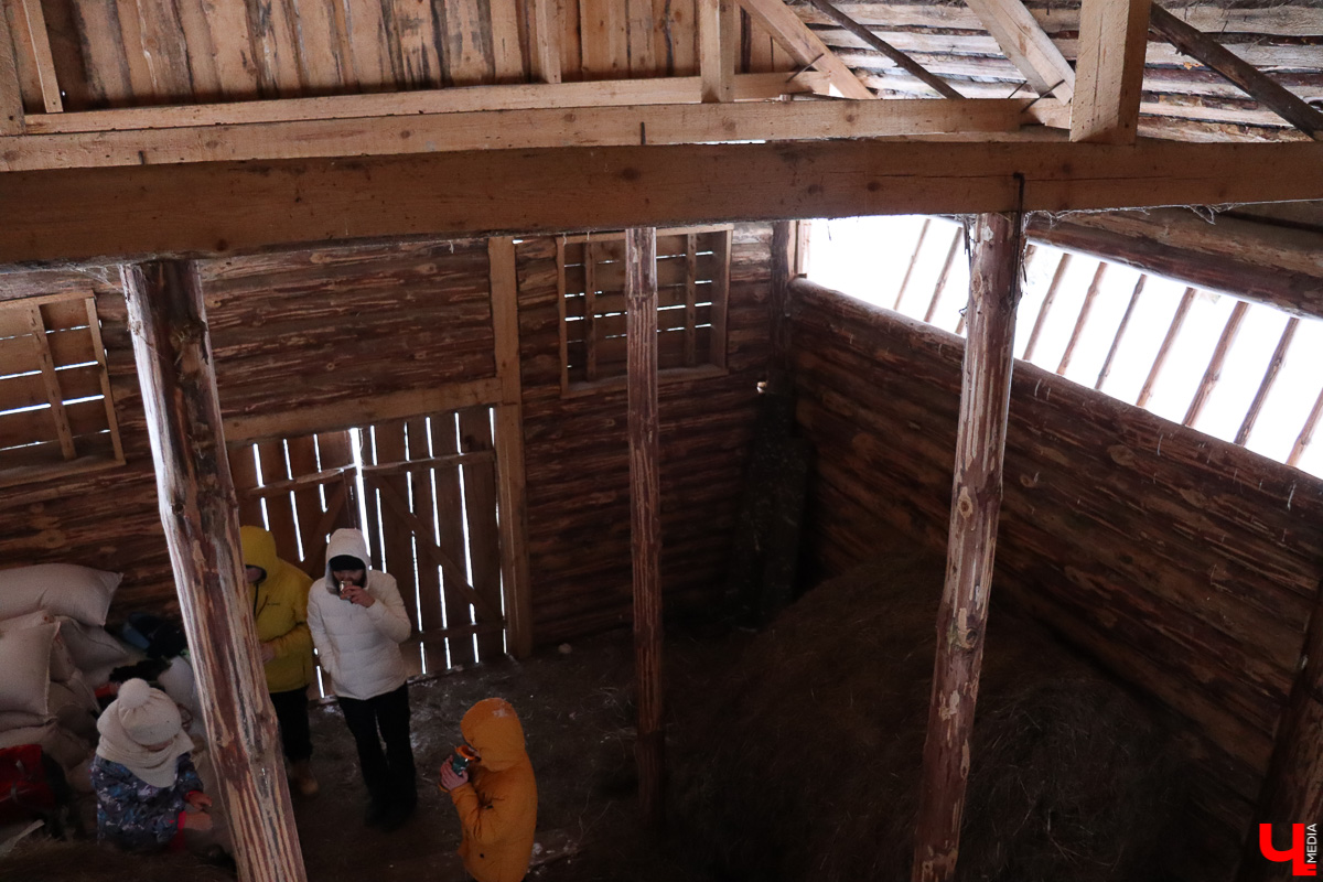 Вязниковский Турцентр устроил экскурсию к зубрам в Клязьминско-Лухском заказнике.