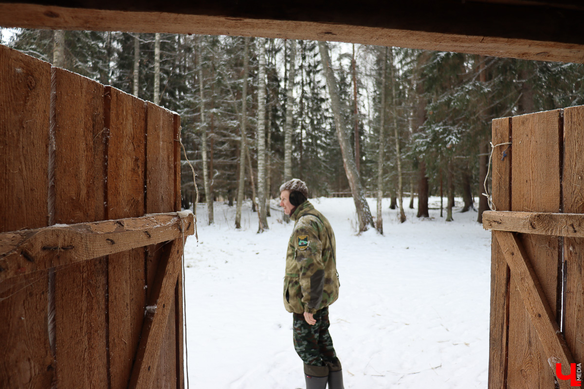Вязниковский Турцентр устроил экскурсию к зубрам в Клязьминско-Лухском заказнике.