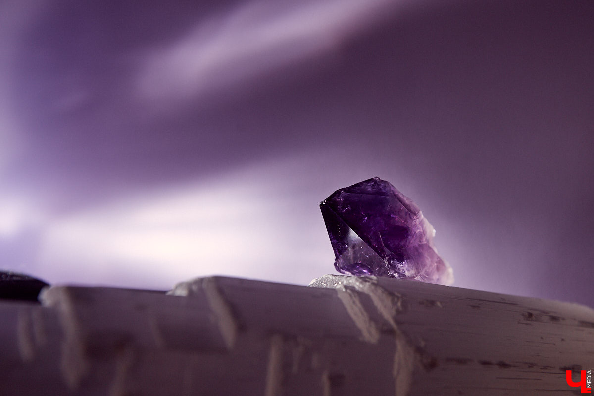 Домашние «собираторы» — интересное явление: в их коллекциях оказываются необычные вещи.