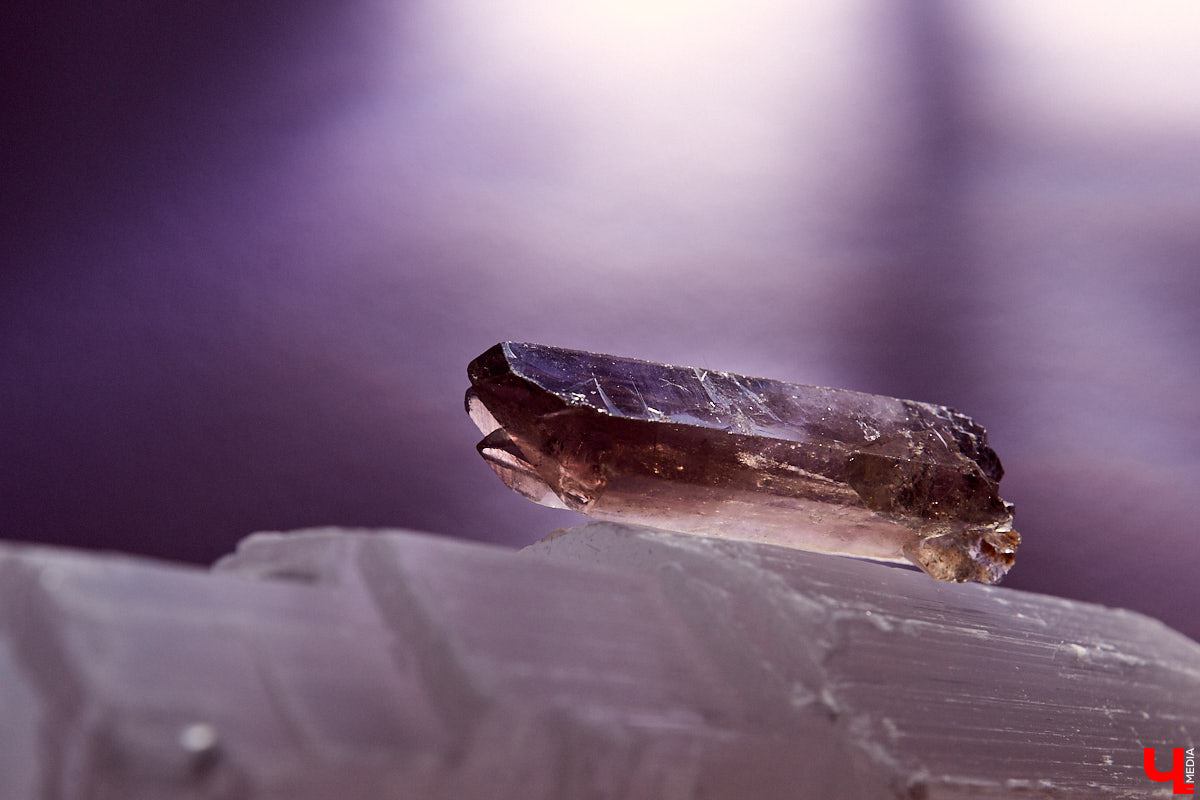 Домашние «собираторы» — интересное явление: в их коллекциях оказываются необычные вещи.