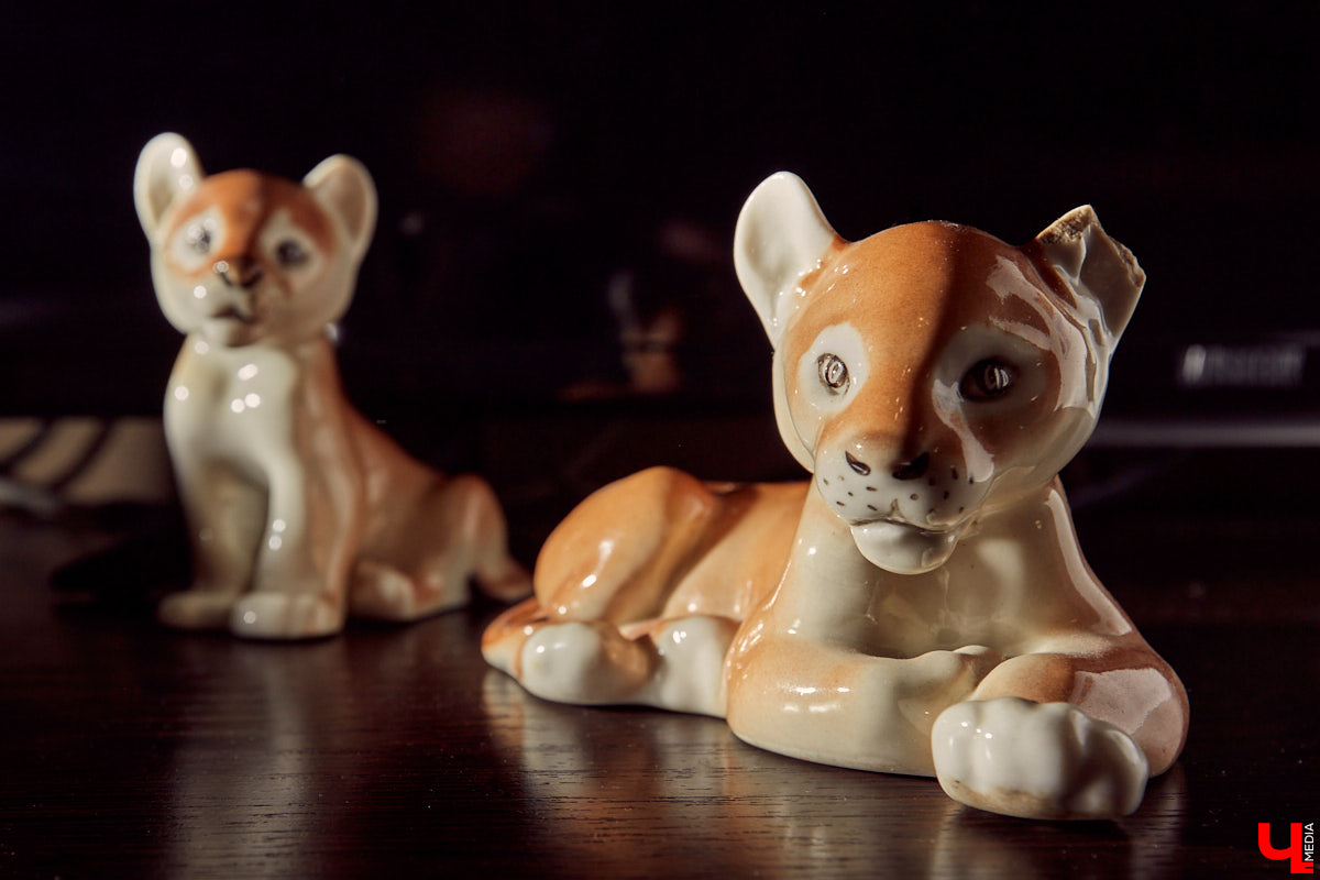 Домашние «собираторы» — интересное явление: в их коллекциях оказываются необычные вещи.