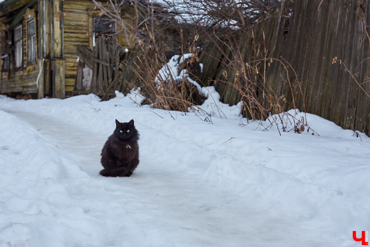 Этот спуск начинается от Большой Нижегородской и лежит вплоть до Клязьмы. Каким оно было — историческое прошлое «спиртовой артерии» города?