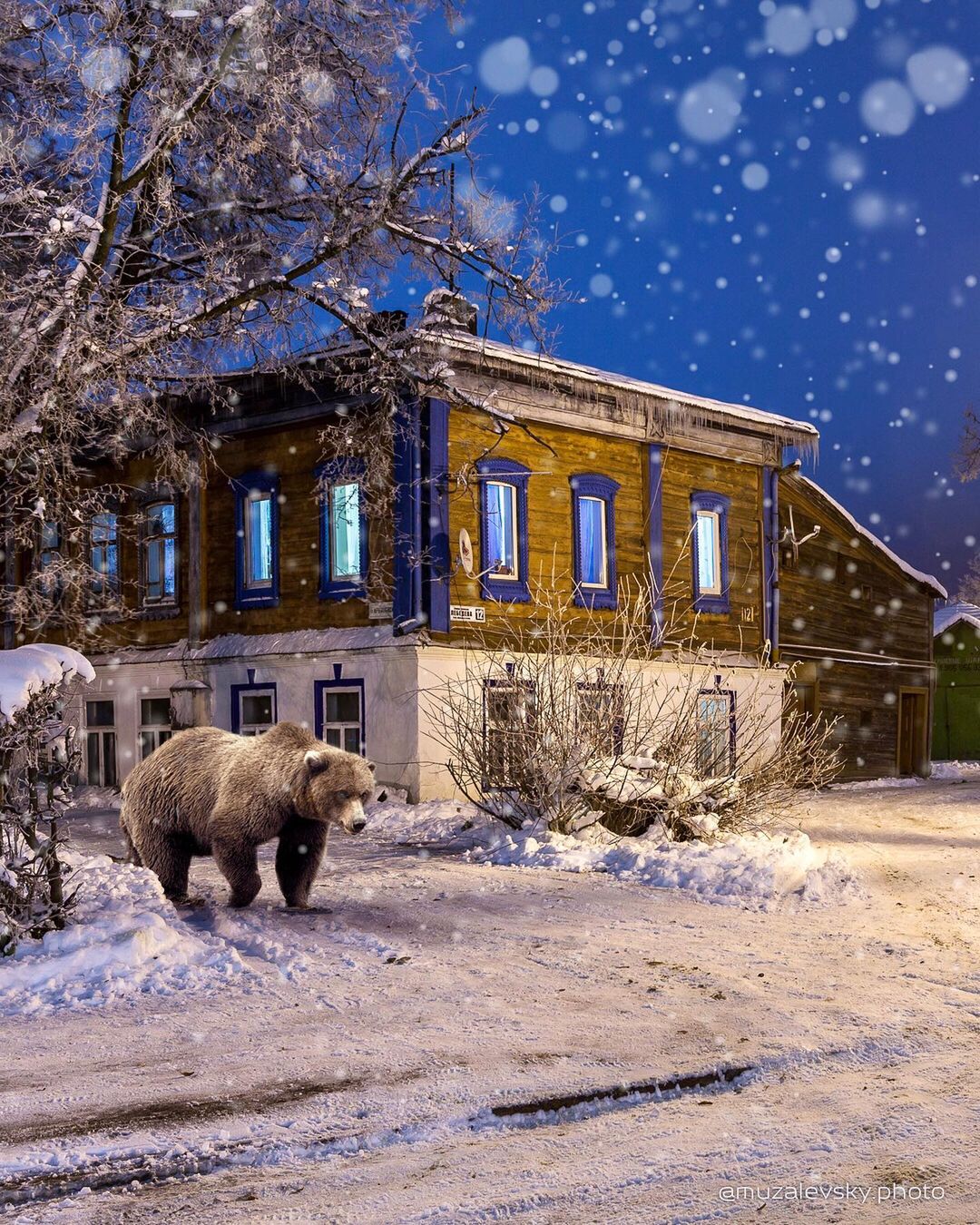 Если вам кажется, что Суздаль - город-сказка, то работы Игоря Музалевского заставят вас уронить на пол челюсть. Московский фотограф дополняет реальность фантастическими сюжетами.