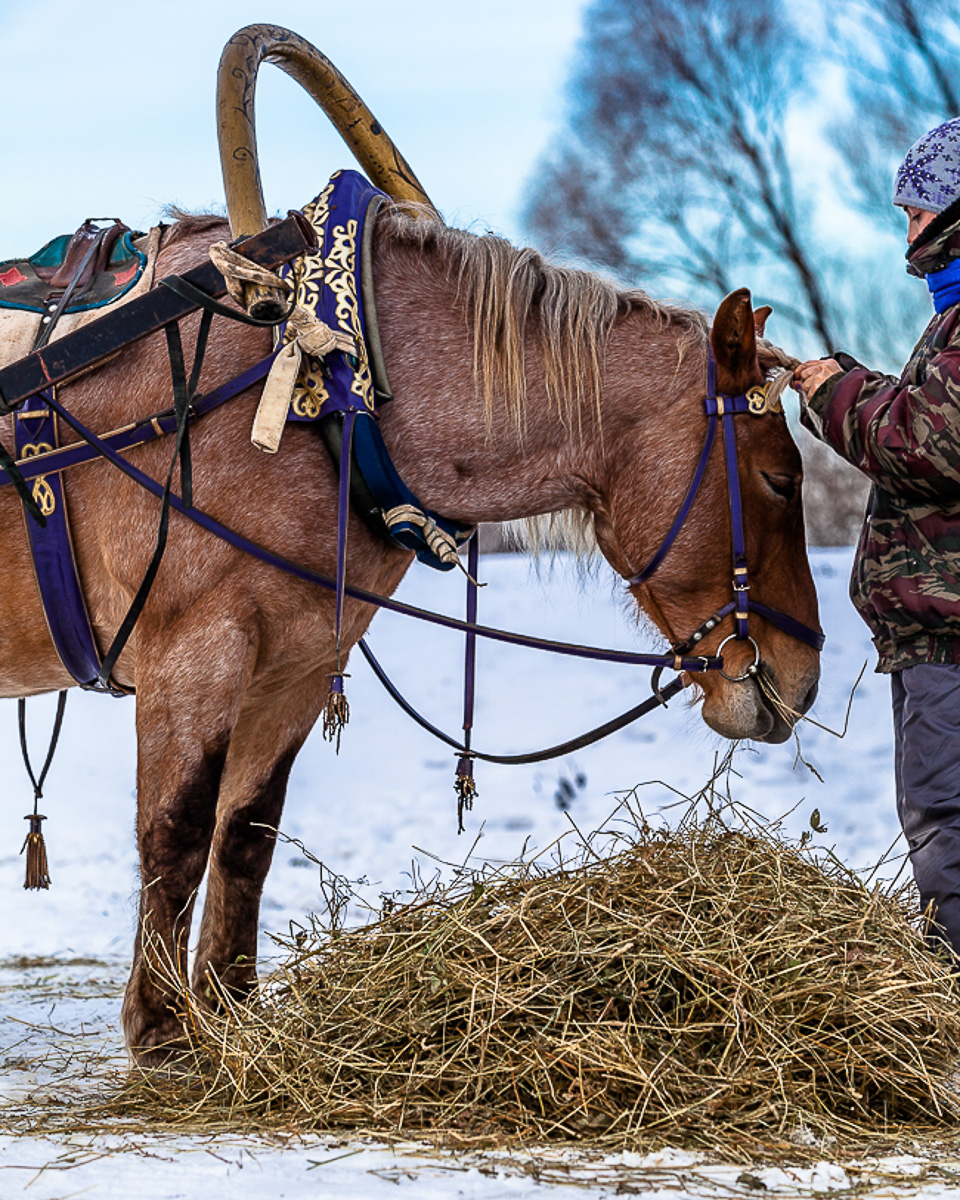 Если вам кажется, что Суздаль - город-сказка, то работы Игоря Музалевского заставят вас уронить на пол челюсть. Московский фотограф дополняет реальность фантастическими сюжетами.