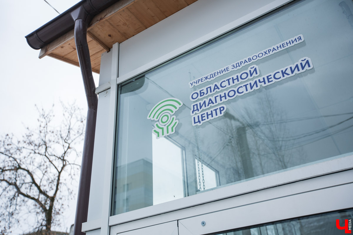 Выясняем, что в голове у владимирского блогера. В прямом смысле слова! Исследуем мозг Надежды Галянкиной и учимся грамотному чек-апу.