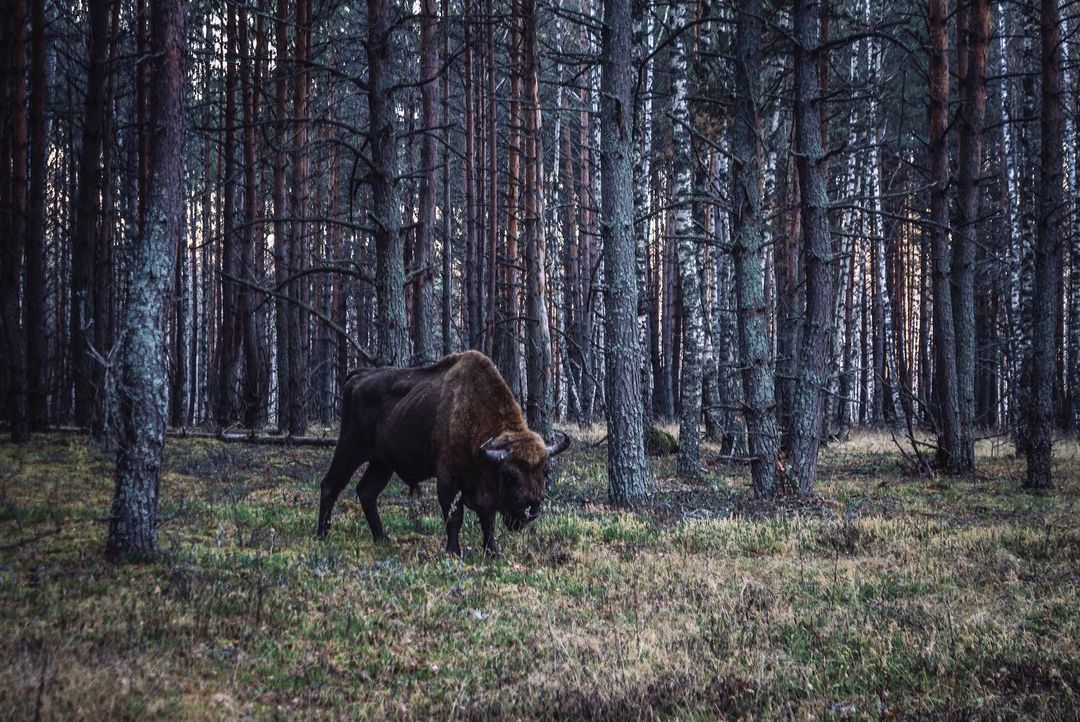 Игорь Икшаков - фотограф-любитель. Несколько серий его снимков посвящены заброшкам. Их-то мы и рассмотрели повнимательнее.