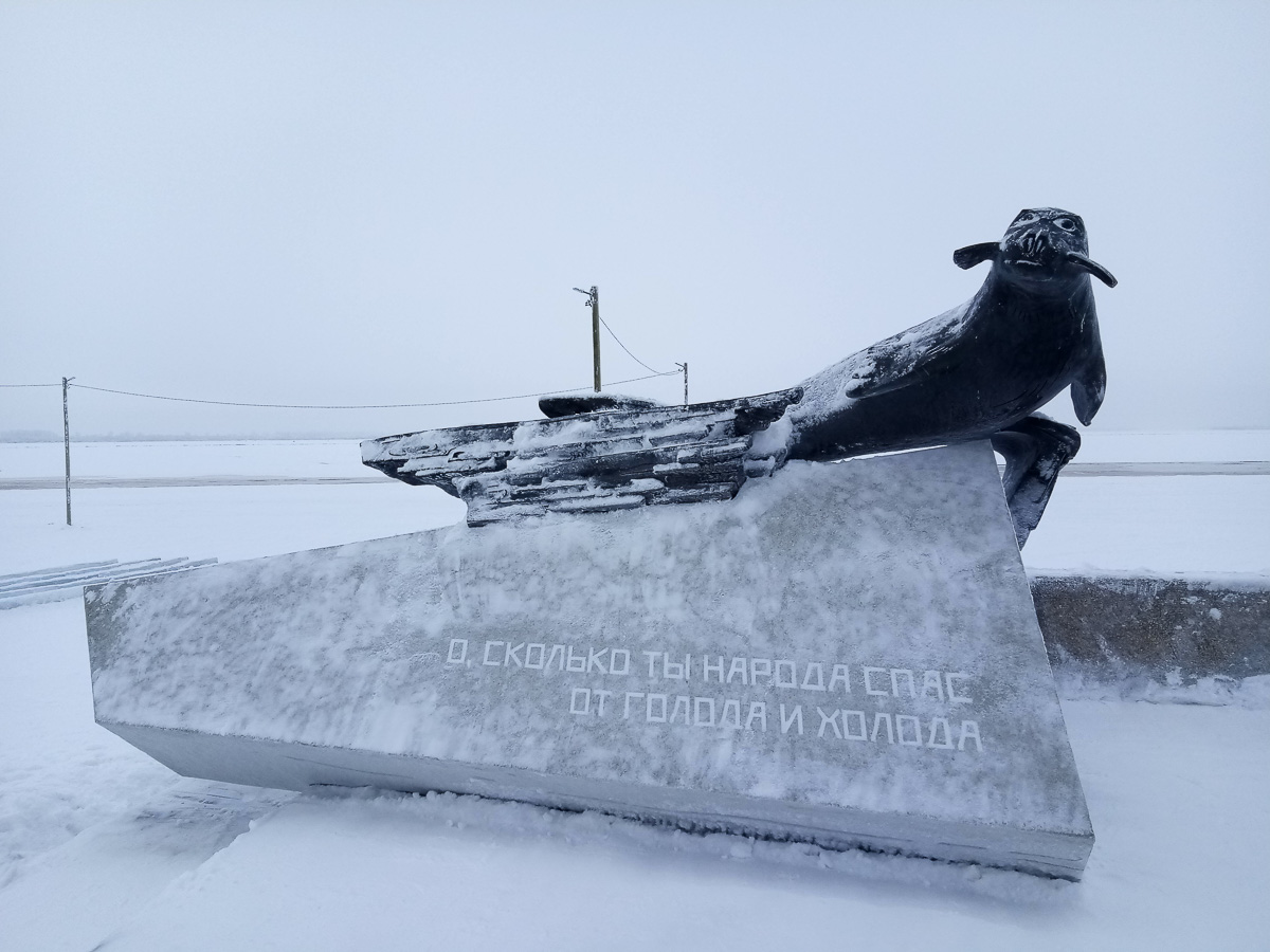Зимой кто-то мечтает о теплых островах, а кто-то отважно отправляется на охоту за северным сиянием. Самые морозостойкие владимирцы пошли по второму пути. И вот какие поездки у них получились.